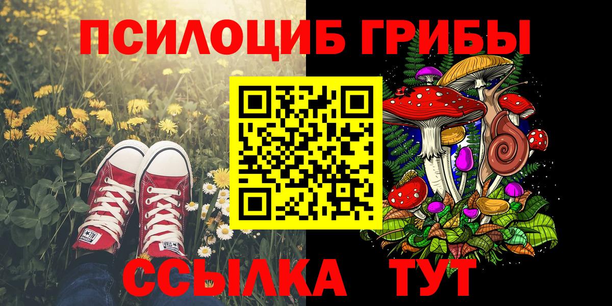 хочу   Вход с VPN  Коряжма  Галлюциногенные грибы Magic Shrooms 