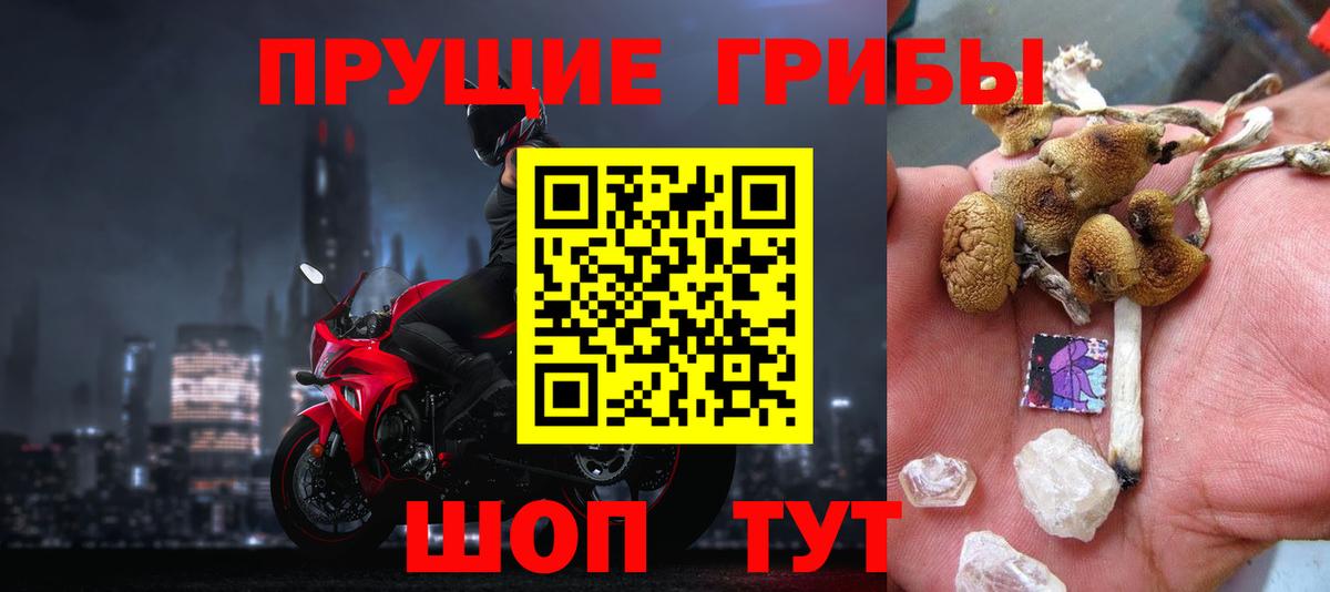 Галлюциногенные грибы прущие грибы Коряжма