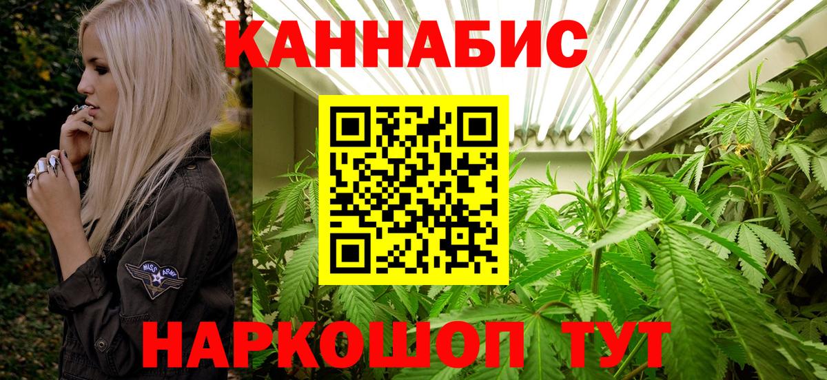 Бошки Шишки сатива Коряжма